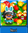 Navi